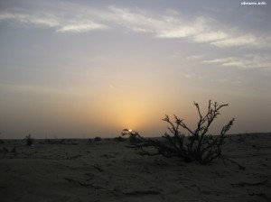 Na pustyni właśnie kończy się dzień