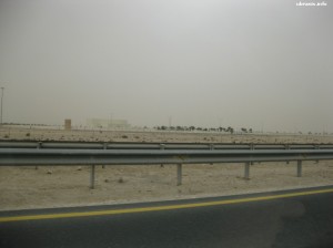Weekendowa rezydencja Emira (?) - wielka, ale poza piachem nic nie ma :)