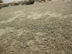 Ktoś miał zdrowie, żeby ulepić tyle kuleczek z piasku :)